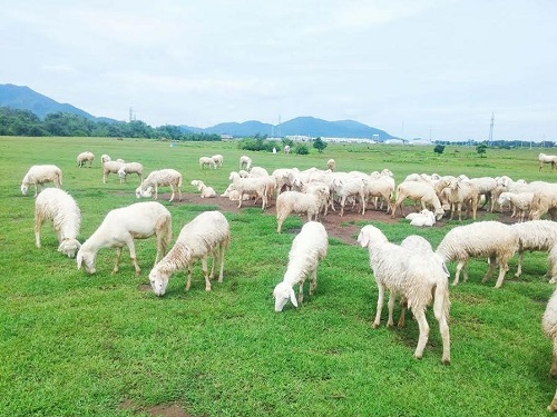 du lịch