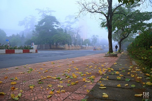 du lịch Đà Lạt